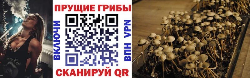 где можно купить наркотик  Уяр  Галлюциногенные грибы ЛСД 